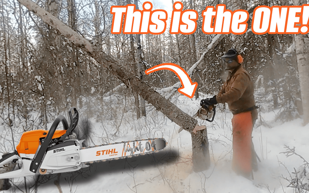 Is the Stihl MS261 Chainsaw the BEST for Firewood and Bushcraft ?