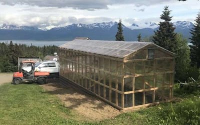 A Beautiful Greenhouse in Alaska