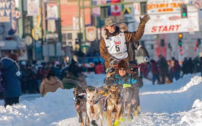 The Stunning Iditarod Sled Dog Race